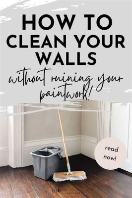 What Can I Use to Clean Walls Without Removing Paint: Exploring the Art of Wall Maintenance and Beyond